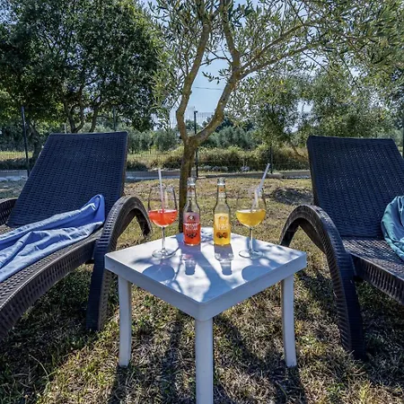 Biskupije Veronika Marija