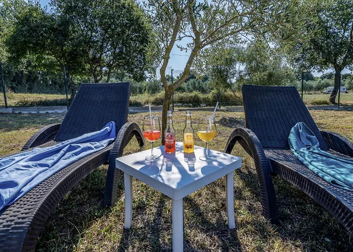 Biskupije Veronika Marija